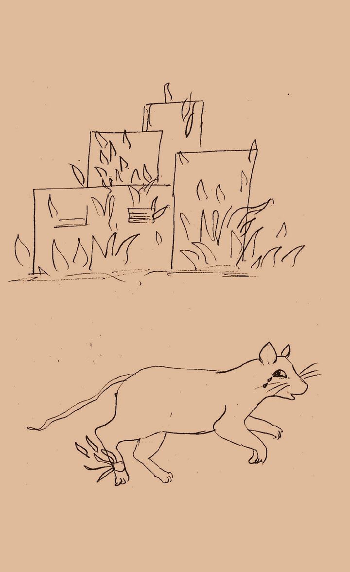 The Burning Cat