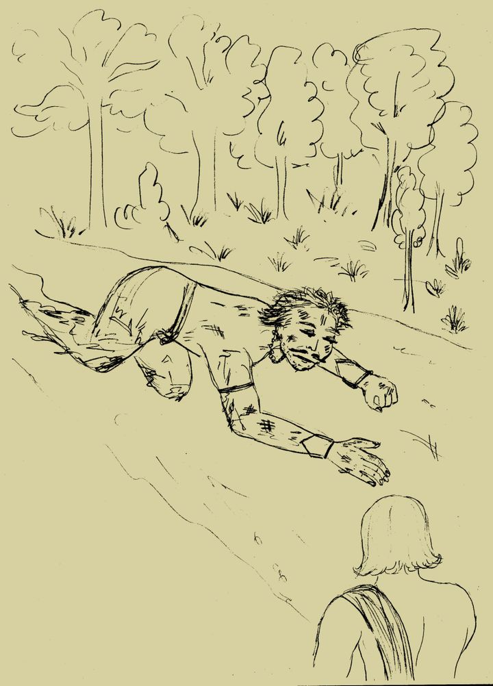 The King’S Forest Resort