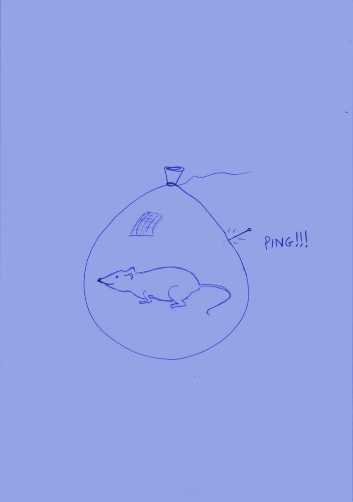 The Sage's Mouse