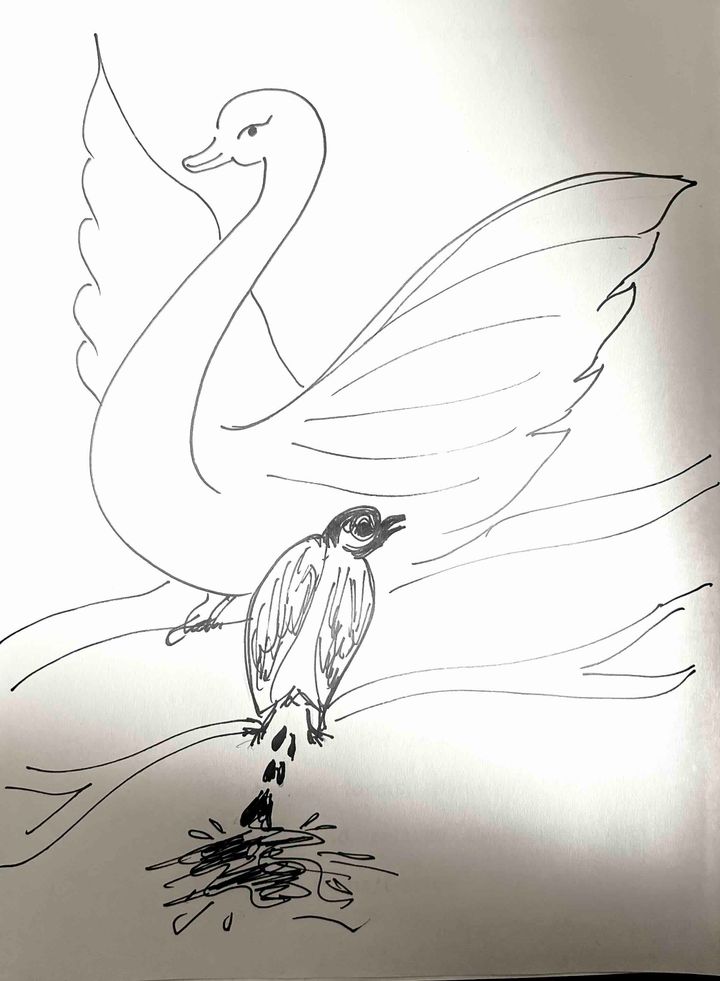 The Swans and Crows of the World