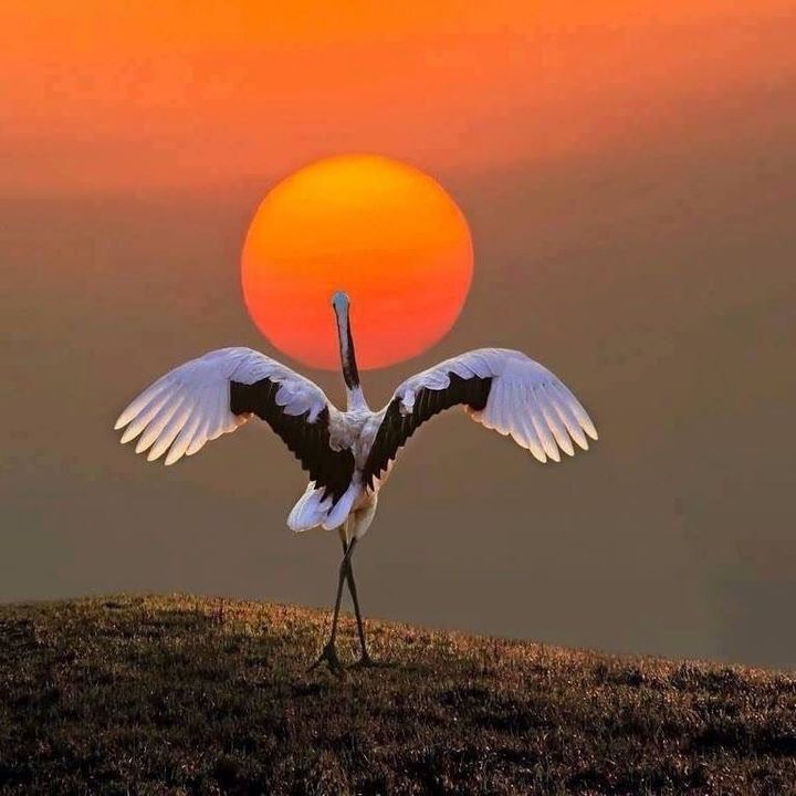 Whatever You Have is Enough