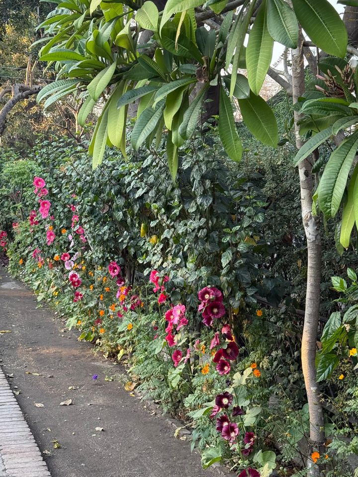 Ugliness Amidst Beauty