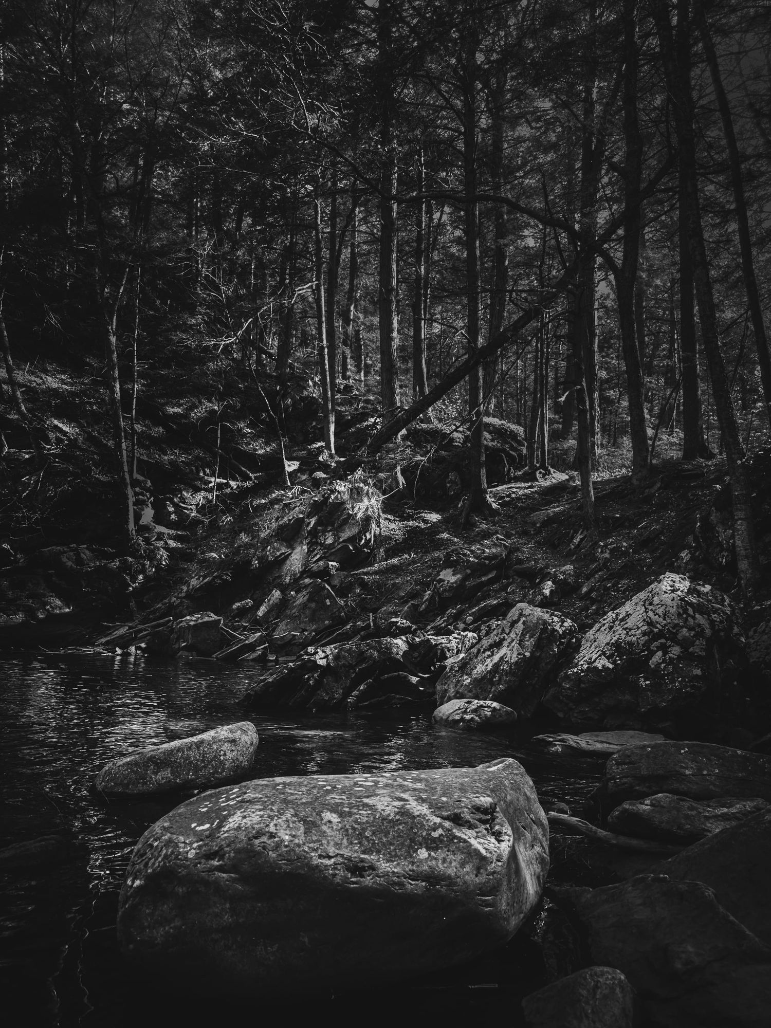 Stillness Beneath Stone