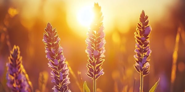 Fairhaven Sermon 3-23-2025