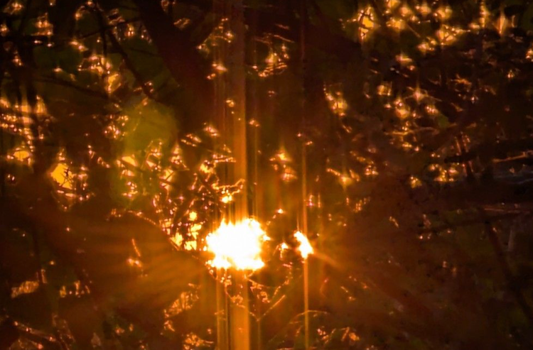 Cloaked: Language and Dignity