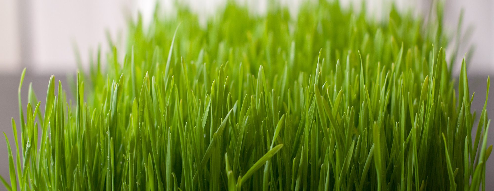 The 20-Minute Game Changer (Part 1)