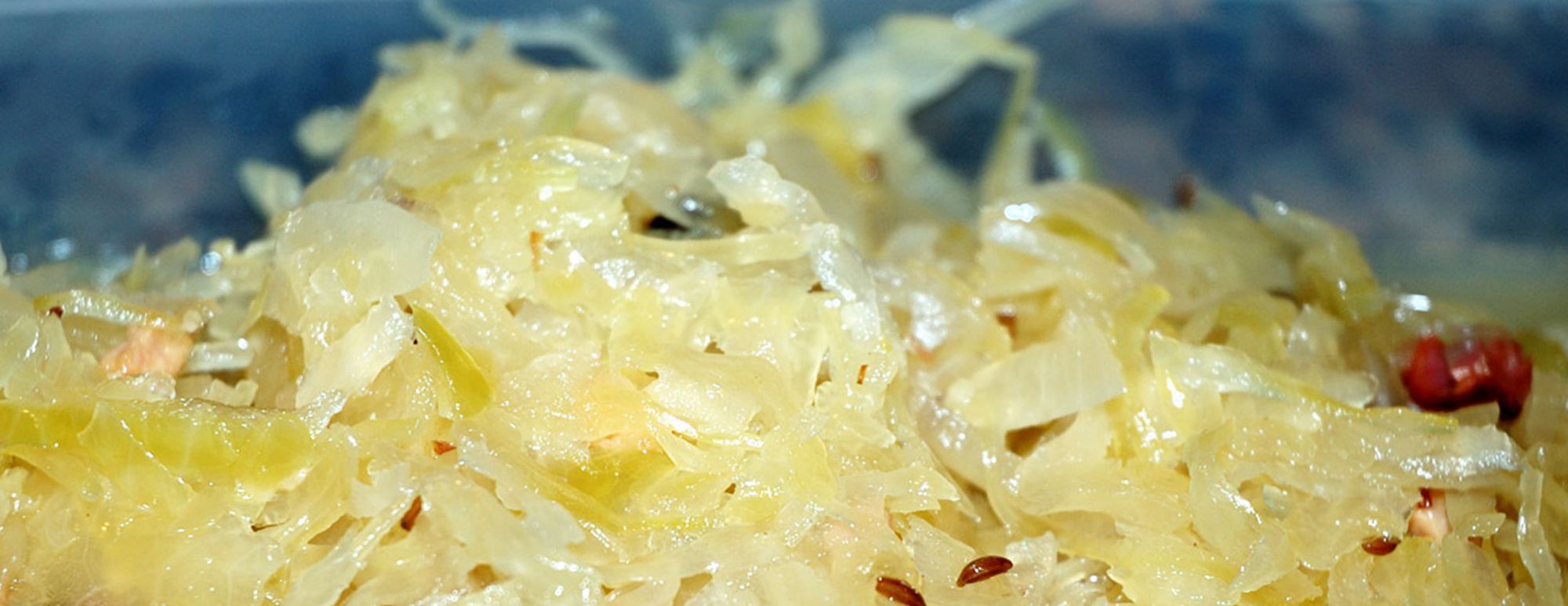 Live Food Logic (Part 1)