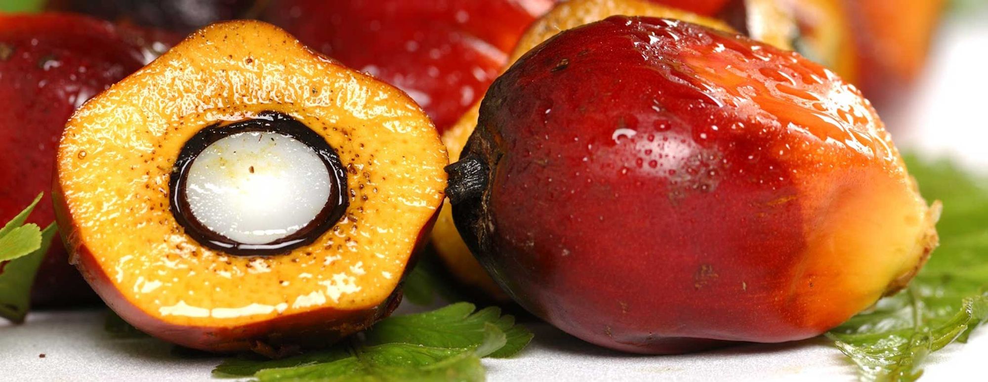 Getting the Good Oils