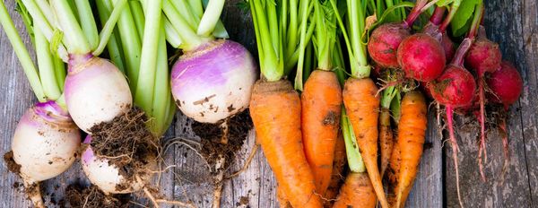 Growing Your Own Food