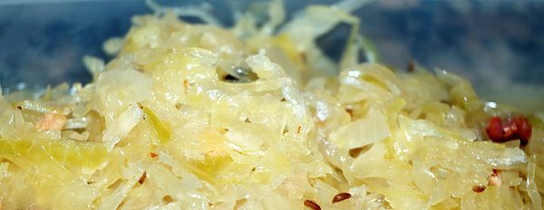 Live Food Logic (Part 1)