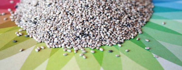 Seven Ways to Reclaim Your Insulin Sensitivity