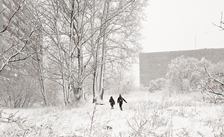 Habits for Cold Weather (and Hot Cocoa)