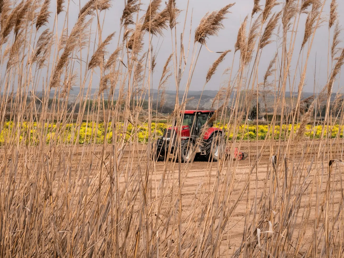 VERT Tokenizes $130 M Agribusiness Debt