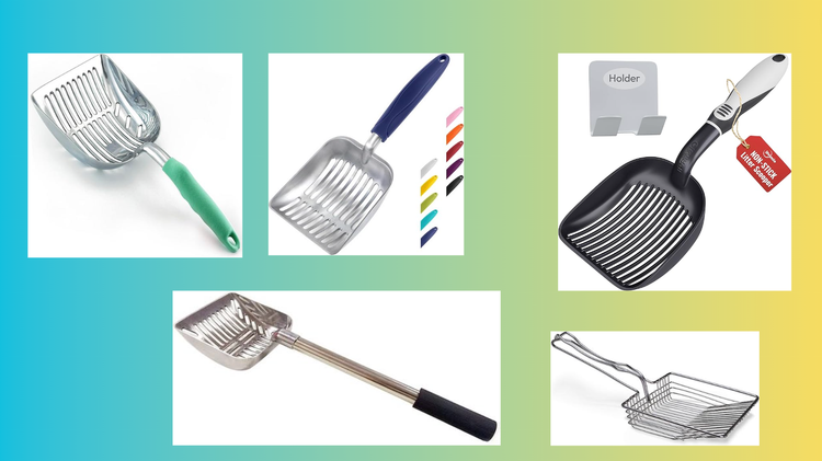 Scoop the Poop: 11 Must-Have Cat Litter Scoops