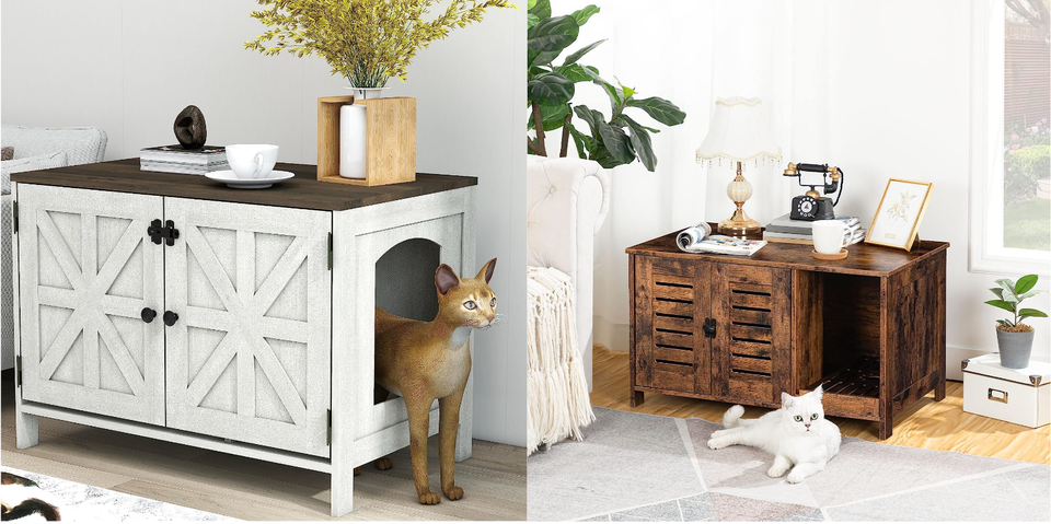 Tips for Introducing Cats to Hideable Litter Box Enclosures