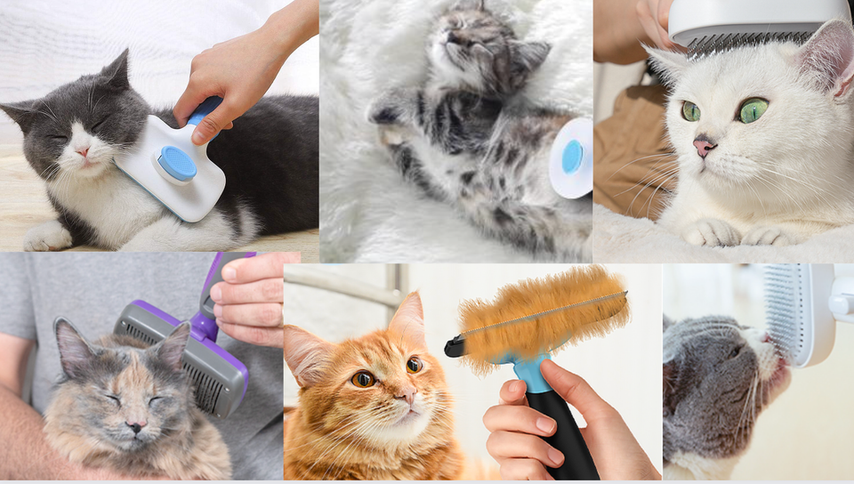 Best 2025 Cat Brushes: Top 11 Picks
