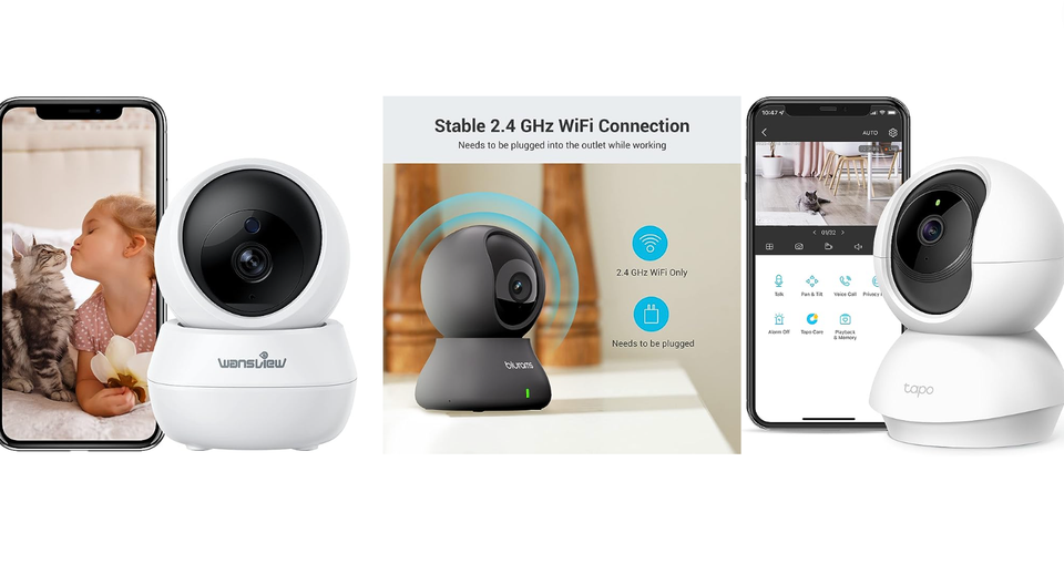 Best Cat Cameras: Top 7 Picks