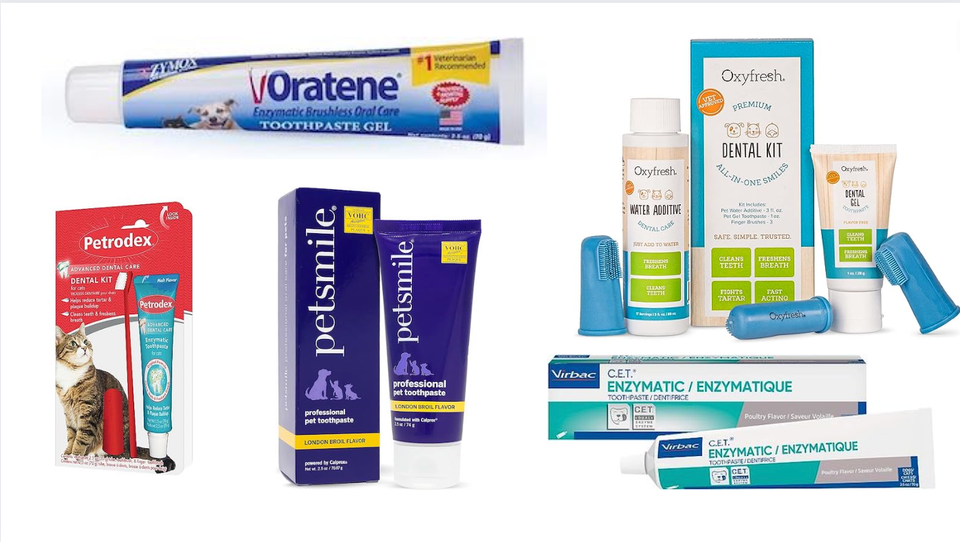 2025's Best Cat Toothpastes: Top Picks