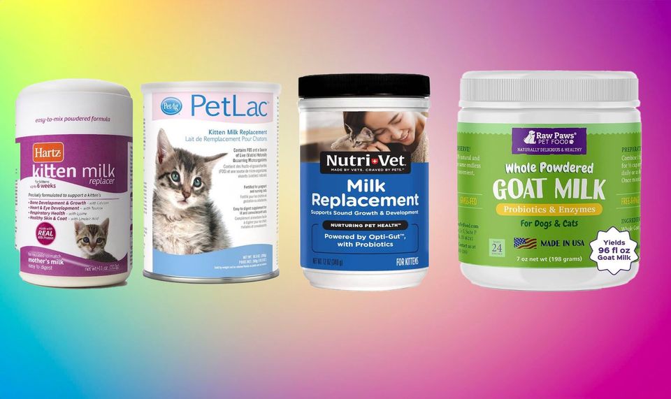 2025 Best Kitten Milk Replacers & Formulas