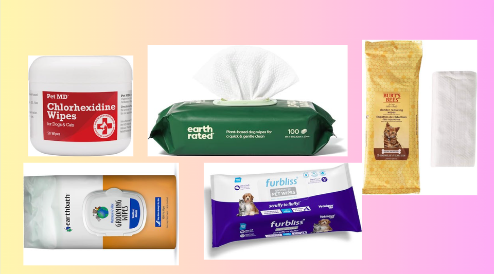 The 6 Best Cat Wipes to Help a Kitty Clean Up