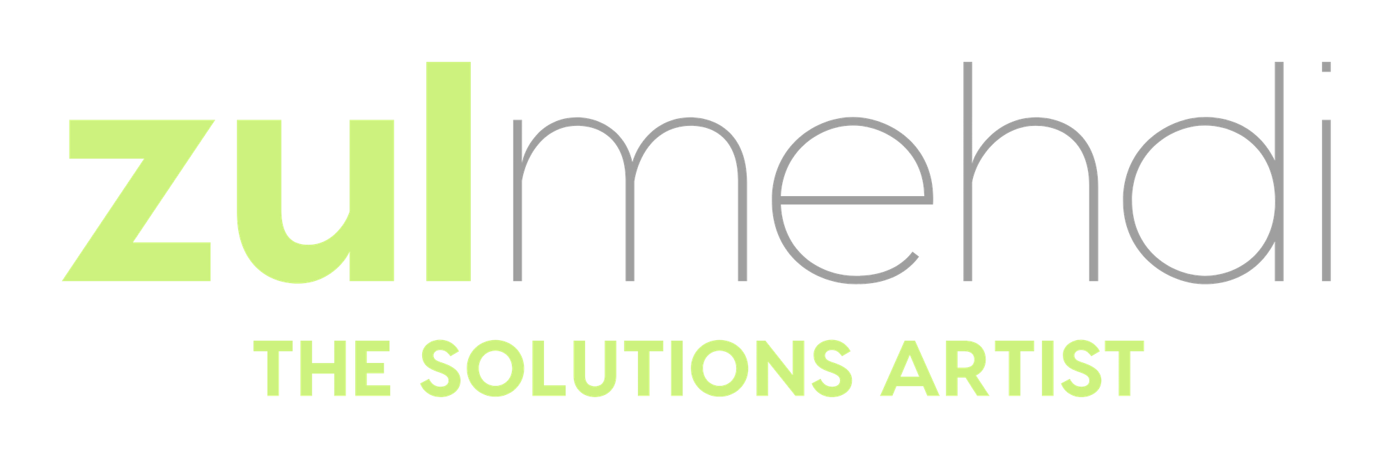 Zul Mehdi - The Solutions Artist