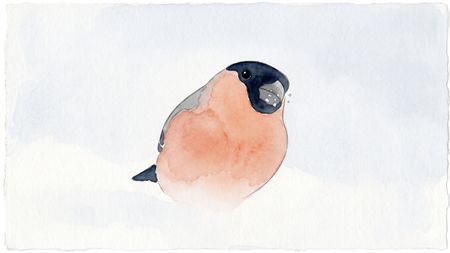 Image of: From birdsong to better wellbeing
