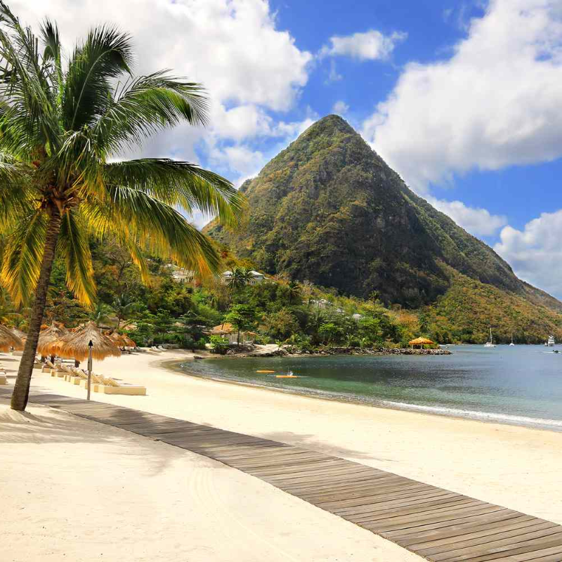 A picture showing a scenic view of Sugar Beach, in St. Lucia