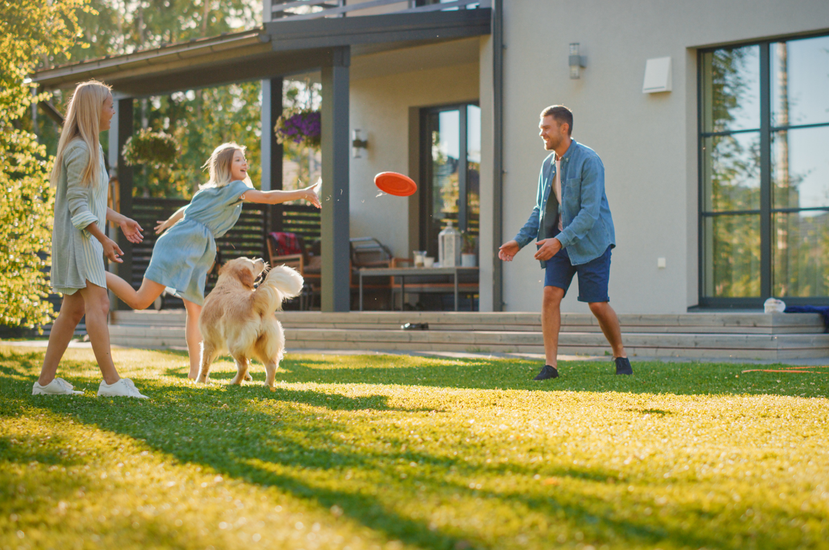 Wayfaring Architect's Member Story: Why HomeExchange Collection is Better Than a Hotel When Traveling with a Dog