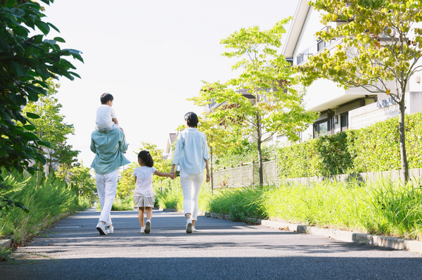 Gated Communities Pros and Cons for Luxury Property Owners