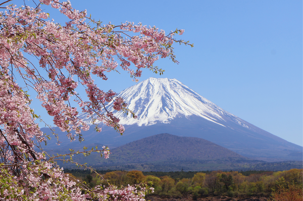 Asia's Top Luxury Home Swap Destinations: Tokyo, Maldives & Singapore