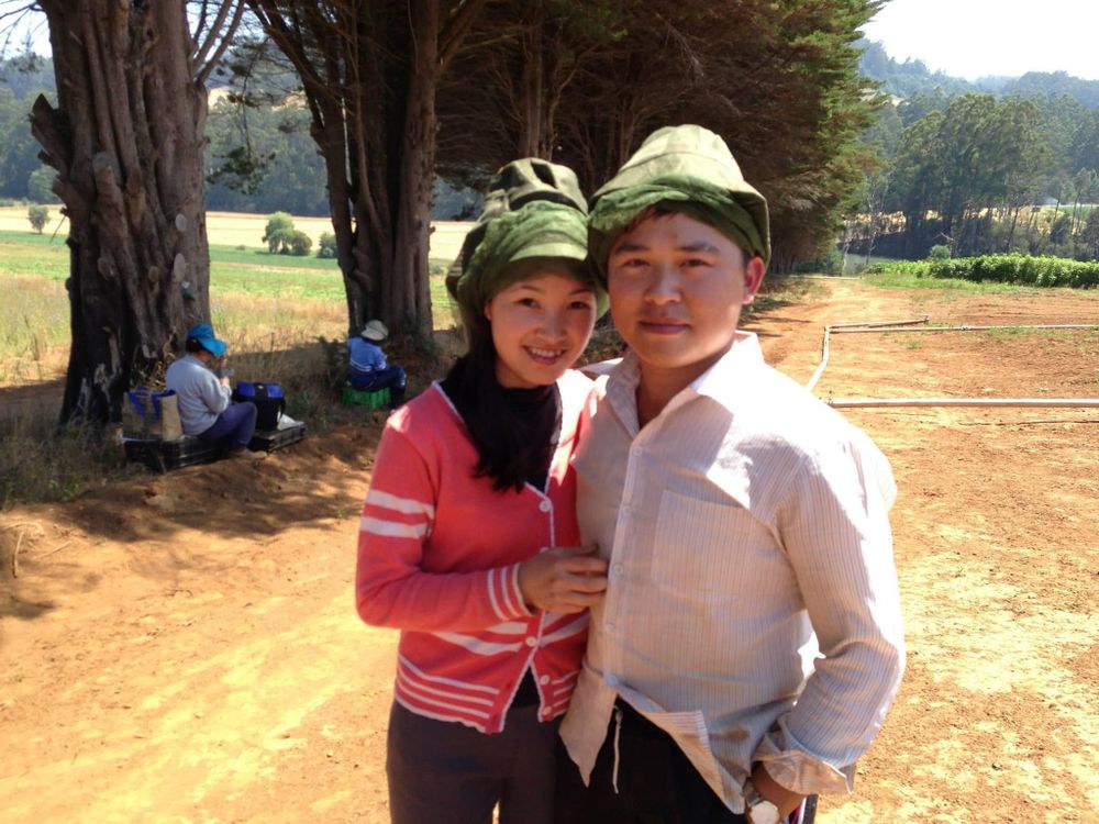 Kỉ niệm làm farm ở Úc!