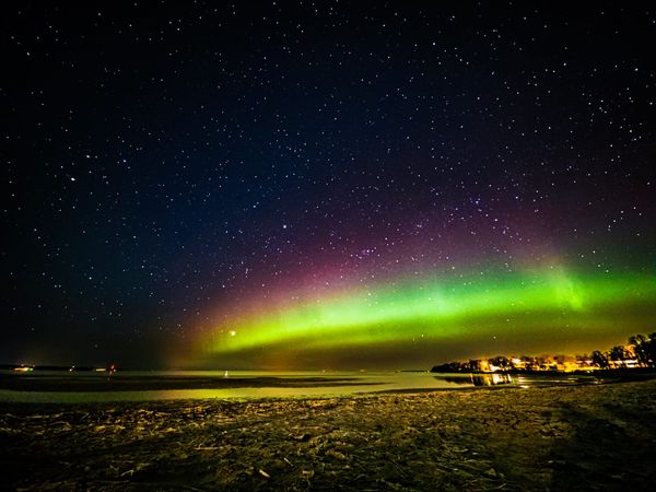 One year. Four seasons. Countless moments. 📸