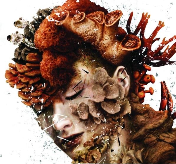 Le New Weird ou l'art de la contamination