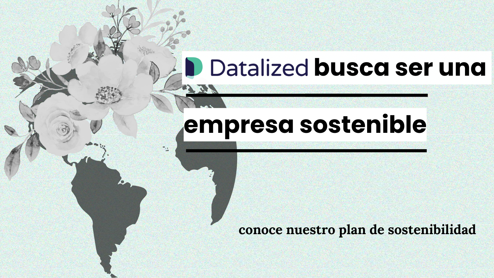 Datalized busca ser una empresa sostenible