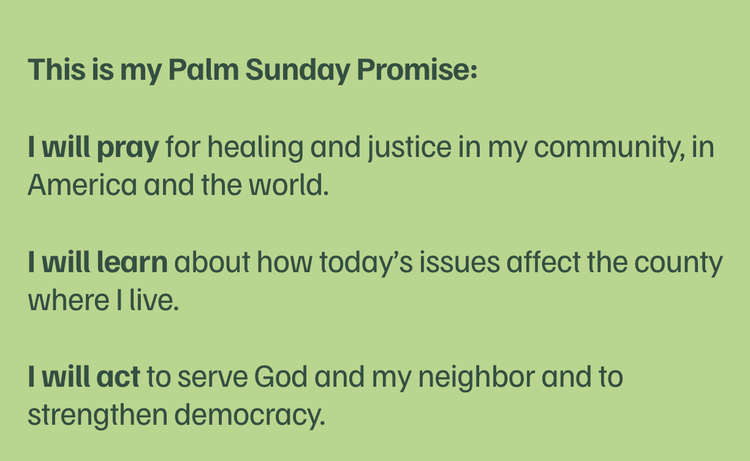 Don't Agonize, Organize