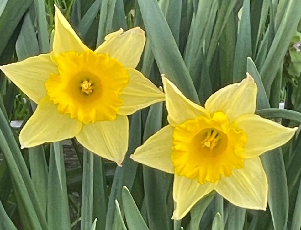 Winter is over and past - a recap