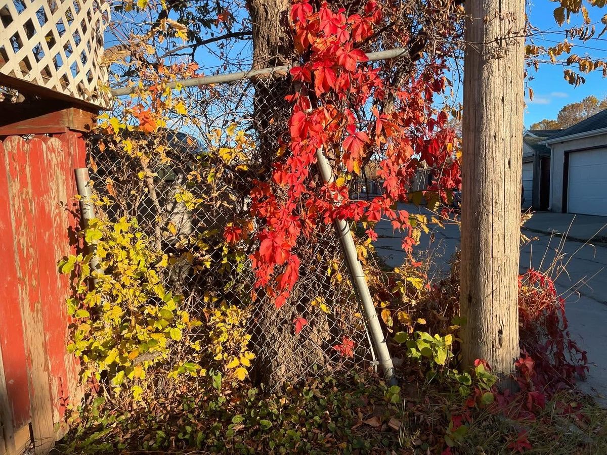 Fall 2024, Winnipeg