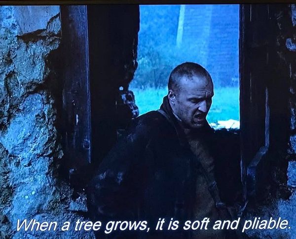 Andrei Tarkovsky's Stalker (1979)