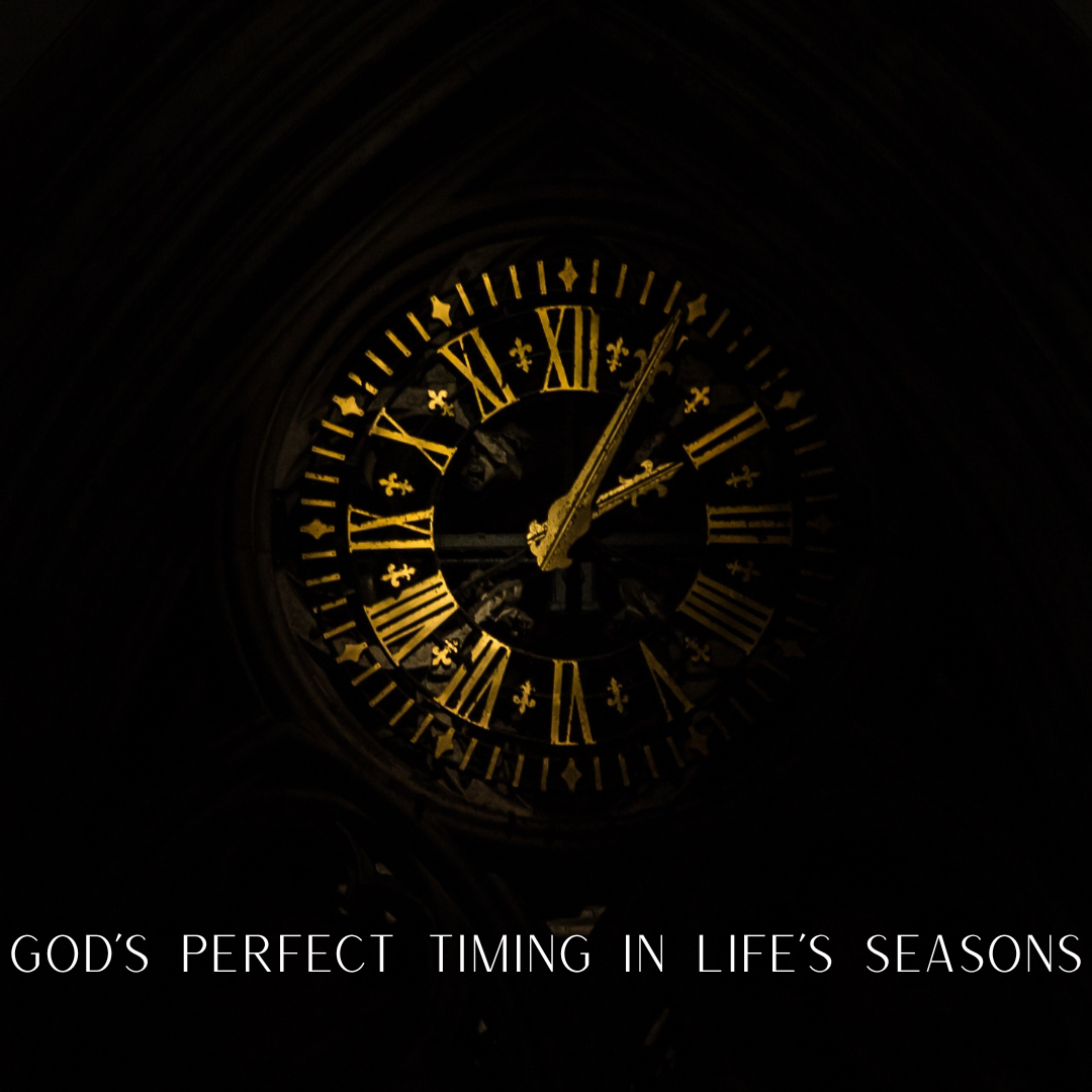 God’s Perfect Timing in Life’s Seasons