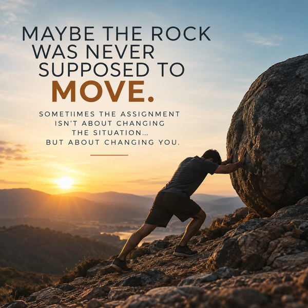 Maybe the Rock Was Never Supposed to Move