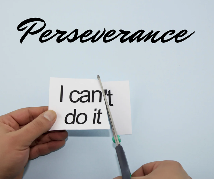 Perseverance: When Pressing On Feels Hard
