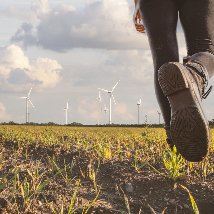 Wisdom Before the Move: What to Seek Before You Step