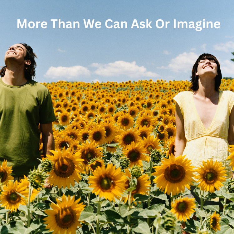 More Than We Can Ask or Imagine