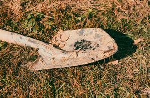 The Charge of Learning to Lead from a Management Posting