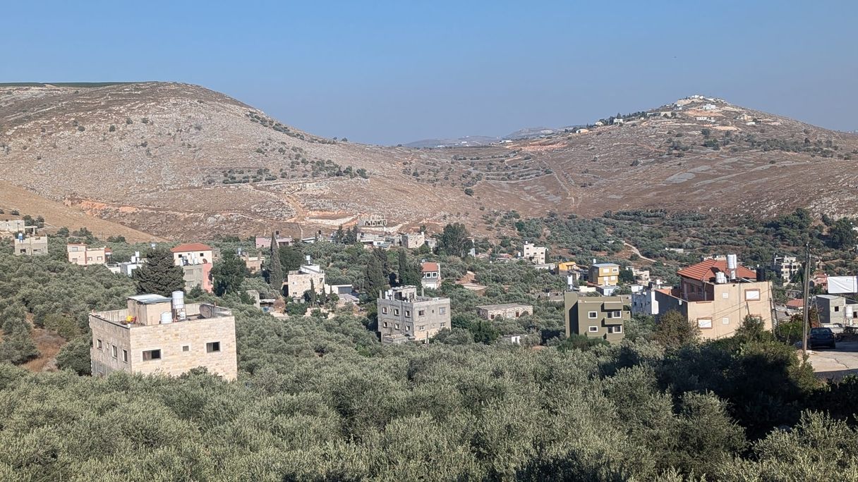 Rocky, hilly landscape with a bright blue sky, sparse houses, many olive trees