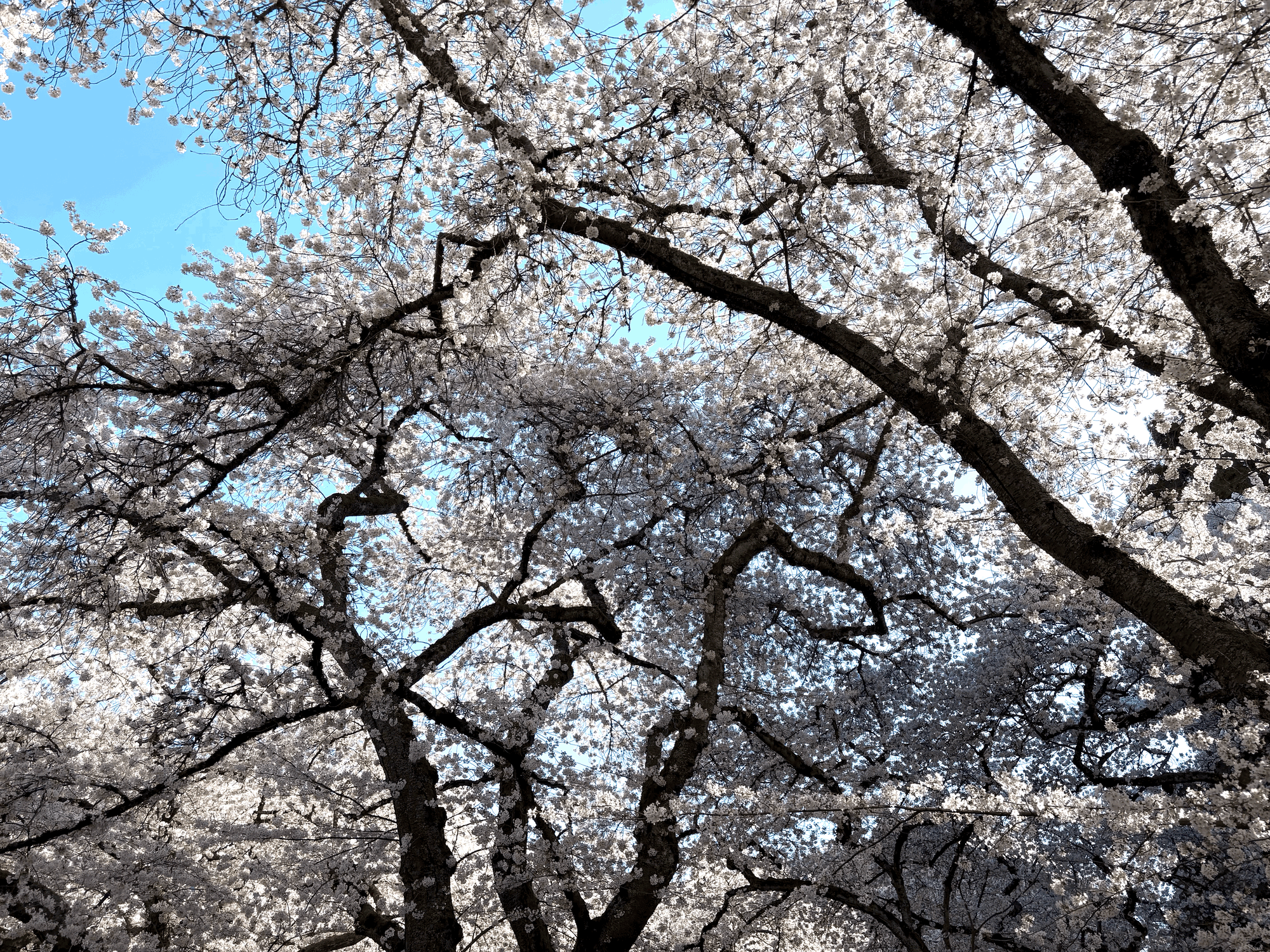 For Once I’m Not the One Having an Identity Crisis