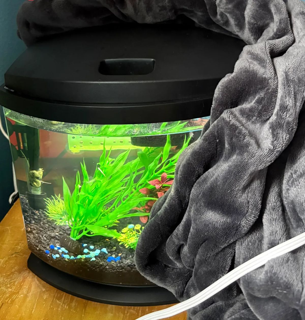 (Truly) Random Acts of Kindness