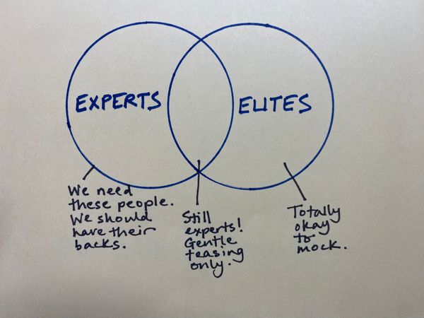 We Need to Distinguish Between Elites and Experts