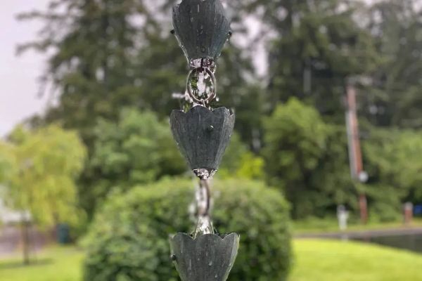 One Thing Humans Do Better Than AI