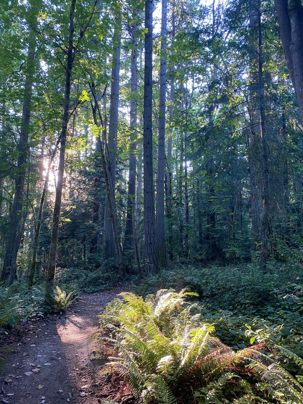 Walk With Me?